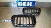 Kühlergrill BMW X3 F25 51117210726