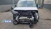 Frontscheibe Citroen Berlingo III Kasten K9 9816605880
