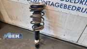 Federbein links vorne Mini Mini R56 22245215