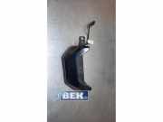 Innenleuchte Renault Zoe Kasten/Schrägheck BFM 266804179R