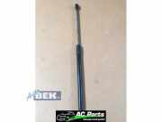 Heckklappendämpfer links VW Polo VI AW 6R6827550C