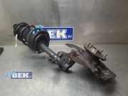 Radaufhängung Toyota RAV 4 V A5, H5 4321233130