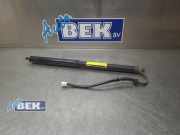 Heckklappendämpfer links Toyota RAV 4 V A5, H5 6892042020