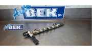 Abstellvorrichtung für Einspritzanlage Opel Meriva B 55571602