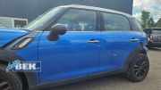 Schutzleiste Schweller Mini Mini Countryman R60