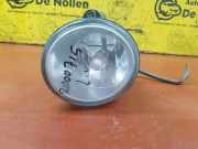 Nebelscheinwerfer links vorne Renault Scenic I JA