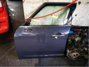 Tür links vorne Mini Mini Countryman F60