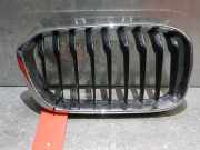 Kühlergrill rechts BMW 1er F21 7371686