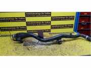 Einfüllstutzen für Kraftstoffbehälter Mini Mini Countryman F60 1037601005
