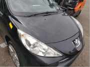 Motorhaube Peugeot 207 CC 7901N2