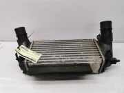 Ladeluftkühler Ford Fiesta VI CB1, CCN C1B19L440BA