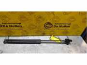 Gasdruckfeder Ford Fiesta VI CB1, CCN 8A61A406A10AC