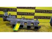 Verteilerrohr Kraftstoff Nissan Pathfinder III R51 3011701