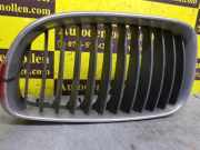 Kühlergrill links BMW 1er E87 7166439