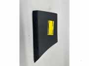 Zierleiste Renault Master III Kasten FV 768F20005R