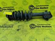 Federbein links vorne Daihatsu Sirion M1