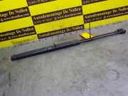 Heckklappendämpfer Opel Vectra C CC Z02 131013350512