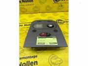 Innenleuchte Renault Master III Kasten FV 264300010R