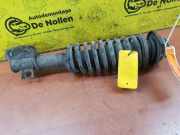 Stoßdämpfer rechts vorne Suzuki Alto IV EF