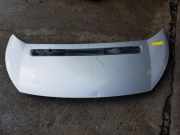 Motorhaube Citroen Jumpy II Kasten ACHTERKLEP