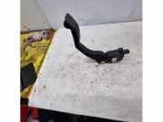 Fahrpedal Peugeot 207 6PV00908300