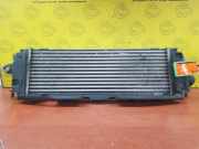 Ladeluftkühler Renault Trafic II Bus JL 992563J