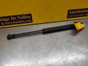 Heckklappendämpfer Fiat 500 312 0230330350N