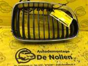 Kühlergrill rechts BMW 1er E87