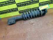 Federbein rechts vorne Suzuki Alto IV EF XXXXX