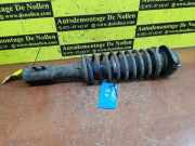 Federbein rechts vorne Suzuki Alto IV EF XXXXX