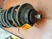 Stoßdämpfer links vorne VW Transporter T5 Multivan