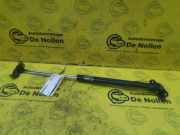 Heckklappendämpfer Daihatsu Sirion M1 2STUKS