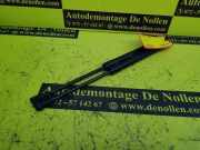 Gasfeder für Motorhaube BMW 1er E81 51237118370