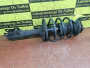 Federbein links vorne Nissan Almera II Hatchback N16 XXXXX