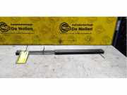 Gasdruckfeder Nissan Almera II Hatchback N16 FOTOTS