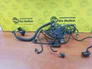 Kabelbaum Mini Mini F55 19348710