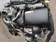 Motor ohne Anbauteile (Diesel) VW Phaeton 3D