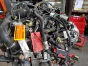 Motor ohne Anbauteile (Diesel) Nissan Note E12 K9K892