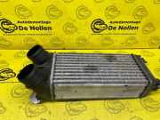Ladeluftkühler Peugeot RCZ 9674041380