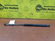 Heckklappendämpfer links Fiat Panda 312, 319 00518416340