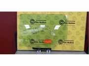 Türscheibe links hinten Jeep Compass MP, M6, MV, M7