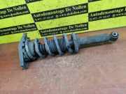 Federbein links hinten Nissan Almera II Hatchback N16 XXXXX