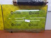 Türscheibe links Citroen DS3 SA