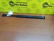 Gasdruckfeder Mini Mini Countryman F60 5124738939804