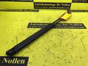 Heckklappendämpfer Mini Mini R56 51247148902