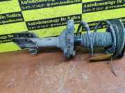 Federbein links vorne Subaru Legacy IV Station Wagon BL/BP/BPS XXXXX