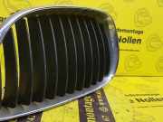 Stoßstange links vorne BMW 1er E81 22405910