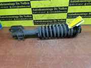 Federbein rechts vorne Suzuki Alto IV EF XXXXX