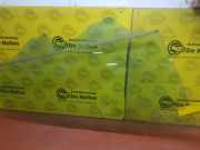 Türscheibe rechts vorne Seat Altea 5P