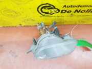 Lichtscheibe für Positionsleuchte Volvo V70 II 285